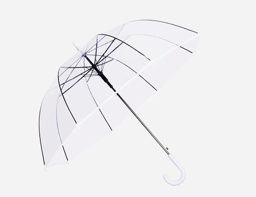 23 pouces 8K Paris Parapluie transparente pour la pluie