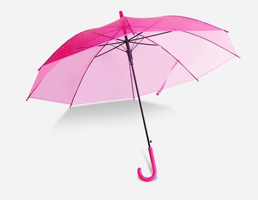 23 pouces 8K Paris Parapluie transparente pour la pluie