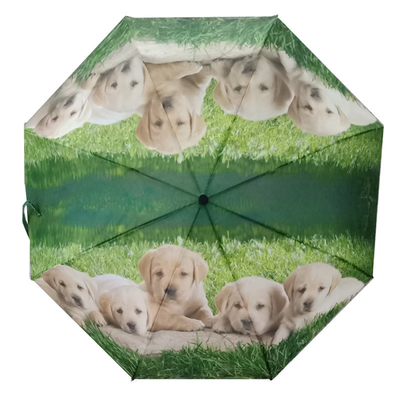 Design personnalisé DIY Dragonfly Animal Pattern parapluie triple avec revêtement noir