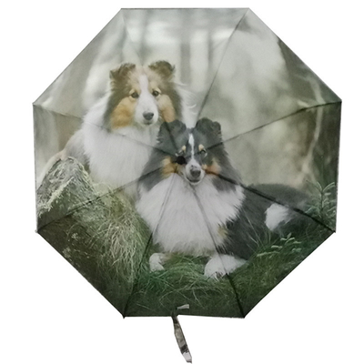 Design personnalisé DIY Dragonfly Animal Pattern parapluie triple avec revêtement noir