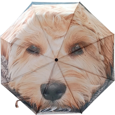Design personnalisé DIY Dragonfly Animal Pattern parapluie triple avec revêtement noir