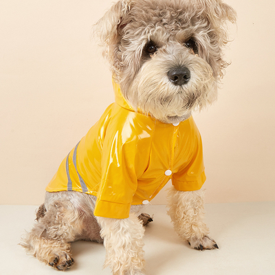 Protégez votre animal de compagnie de la pluie et restez en sécurité