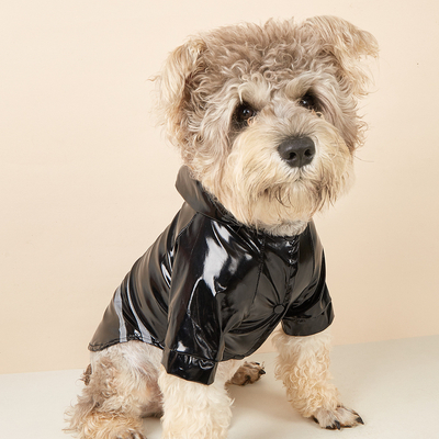 Protégez votre animal de compagnie de la pluie et restez en sécurité