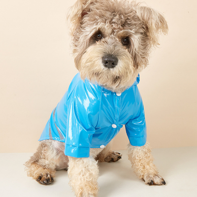 Protégez votre animal de compagnie de la pluie et restez en sécurité