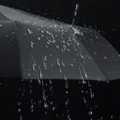 Parapluie en tissu de carom avec poignée en bois 12 côtes Conception étanche