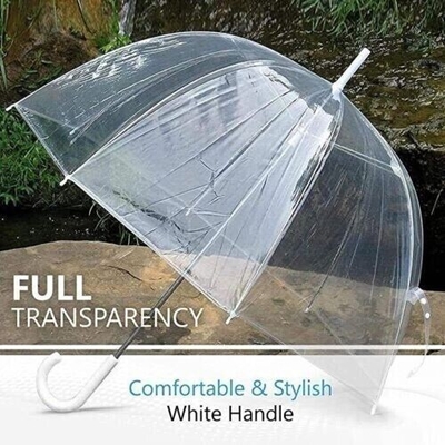 Parapluie transparente à côtes métalliques avec design Apollo et impression de logo personnalisé