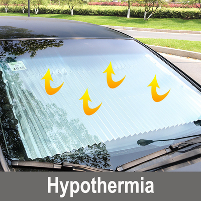 Panneau de protection solaire de voiture de style ouvert pour l'isolation thermique et la protection solaire