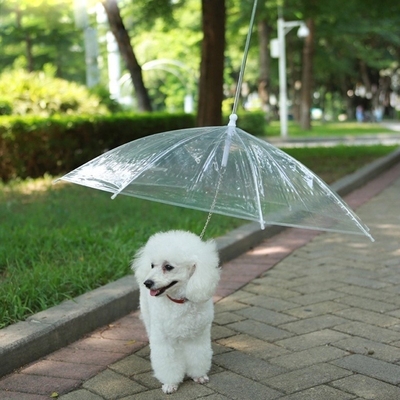 Parapluie en plastique pour animaux de compagnie en plastique blanc transparent et imperméable à l' eau pliable avec poignée en aluminium