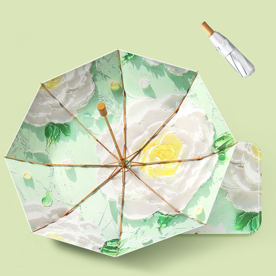 Plages publicitaires parapluie magie bricolage peinture à l'huile Art pour la protection solaire féminine